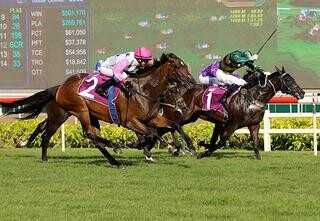 Debt Collector (NZ) reaffirmed his place among Singapore’s very best with a come-from-nowhere win in Sunday’s S$1 million Raffles Cup.